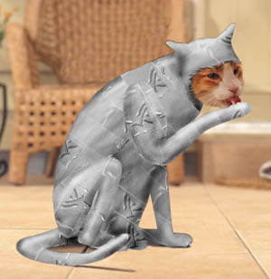 Cat Duct Tape
