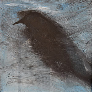 blackbird in wind