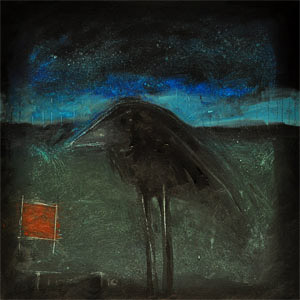 night_bird_with_red_square